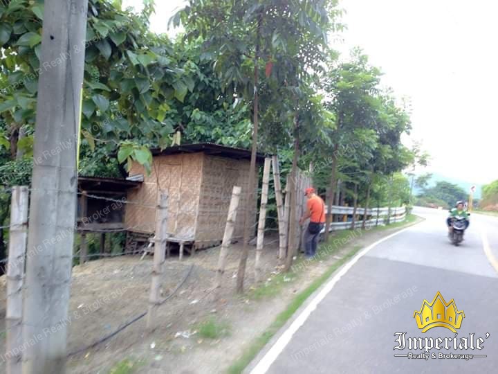 Lot for Sale (Busay)